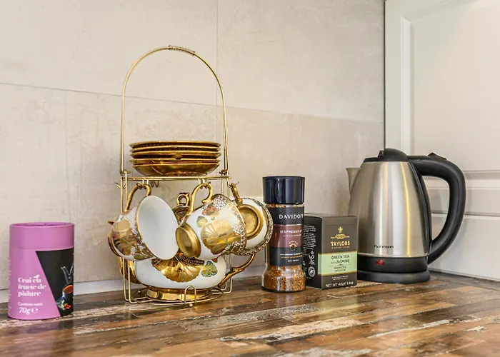 アパート Coresi Avatar ブラショフ